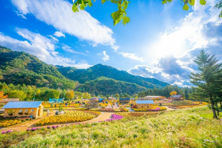 Inje Autumn Flower Festival 2026: Complete Forest Garden Guide