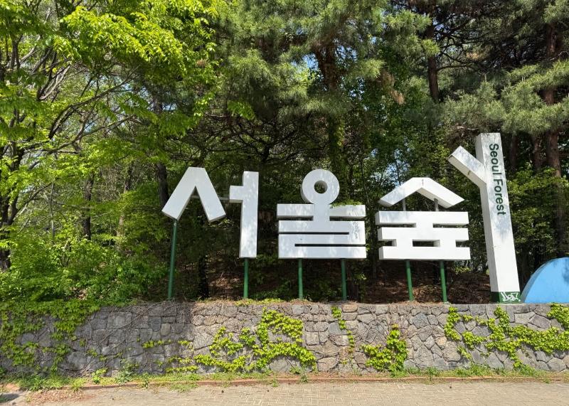 성수 서울숲 문화 데이트 코스 서울숲 야외 산책로와 녹지 쉼터