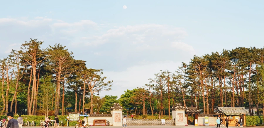 대전 이응노미술관 한밭수목원 — 2021년 촬영된 한밭수목원 입구 풍경. 현재 계절의 식생 상태를 보장하지 않는 장소 참고 사진입니다.