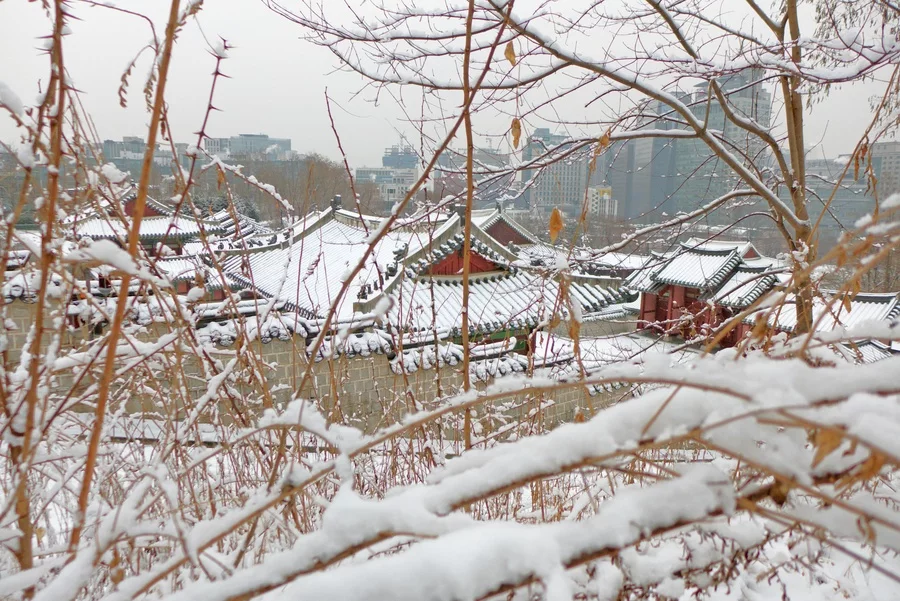 서울역사박물관 문화 산책 — 경희궁의 겨울 풍경, 2014년 1월 자료 사진.