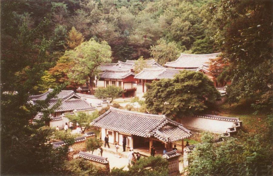 도산서원 문화 산책: 건물과 기록을 함께 읽는 안동 코스