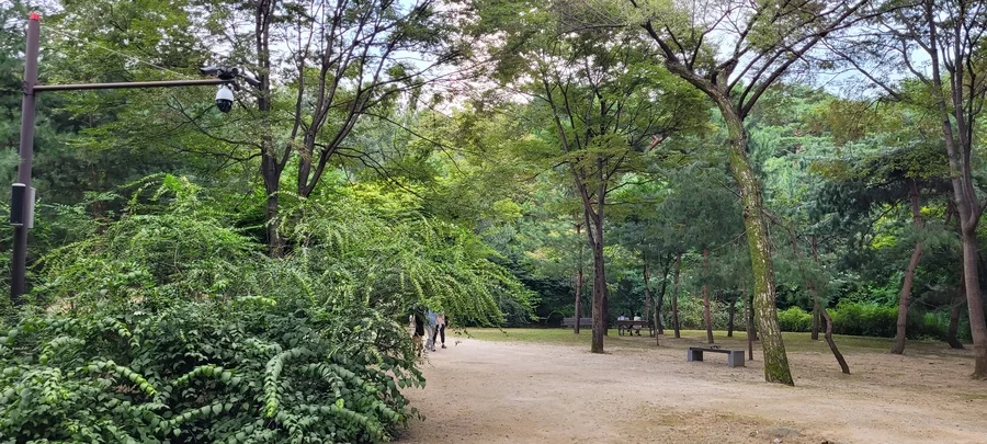 선릉과 정릉 문화 산책 — 선릉과 정릉의 유적 경관, 2024년 9월 자료 사진.