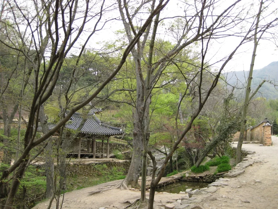 소쇄원 문화 산책: 물길과 담장으로 읽는 담양의 전통 정원