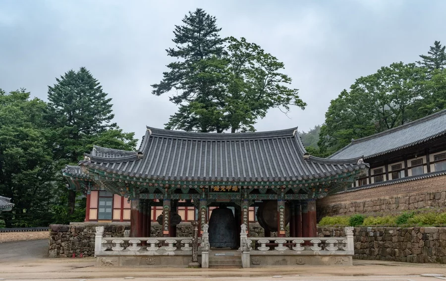 해인사 문화 산책: 대장경의 기록과 목조 공간을 함께 읽기