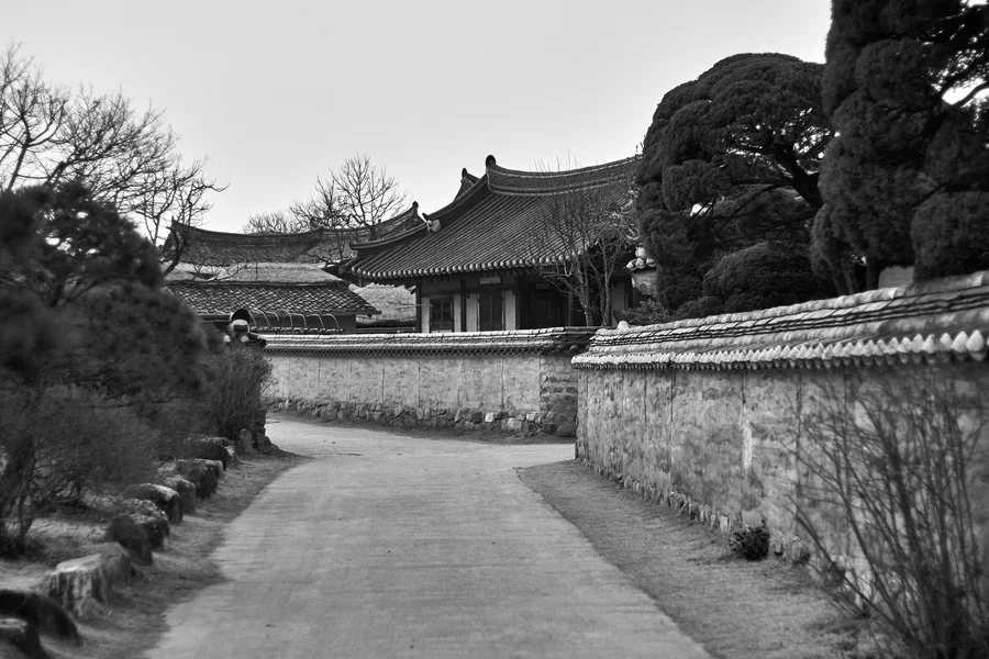 하회마을 문화 산책 — 하회마을 담장과 골목, 원본 흑백 사진. 2014-03-16