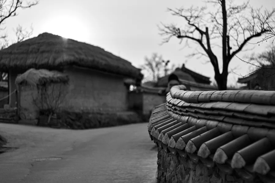 하회마을 문화 산책 — 하회마을 기와 담장과 초가, 원본 흑백 사진. 2014-03-16
