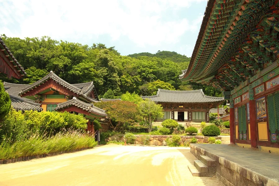 송광사 문화 산책: 경내와 성보박물관의 시간을 나누어 걷기